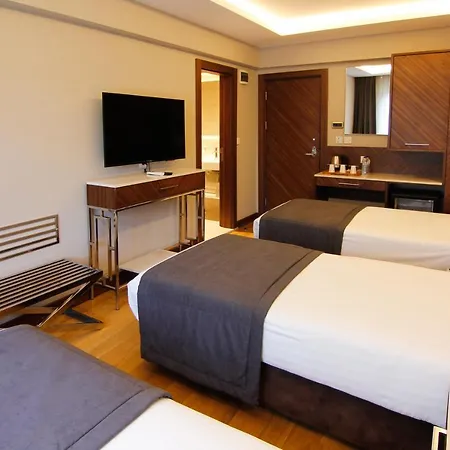 Sogut Old 4* Istambul