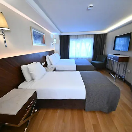 Sogut Old 伊斯坦布尔