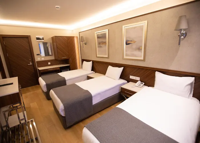 Sogut Old Отель Стамбул