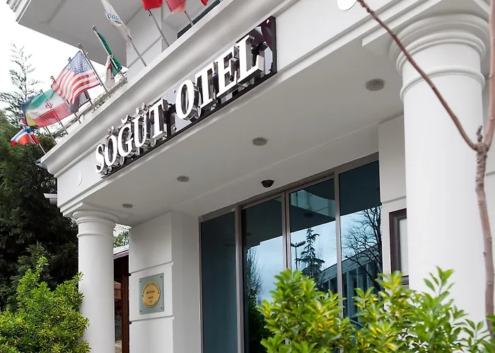 Отель Sogut Old