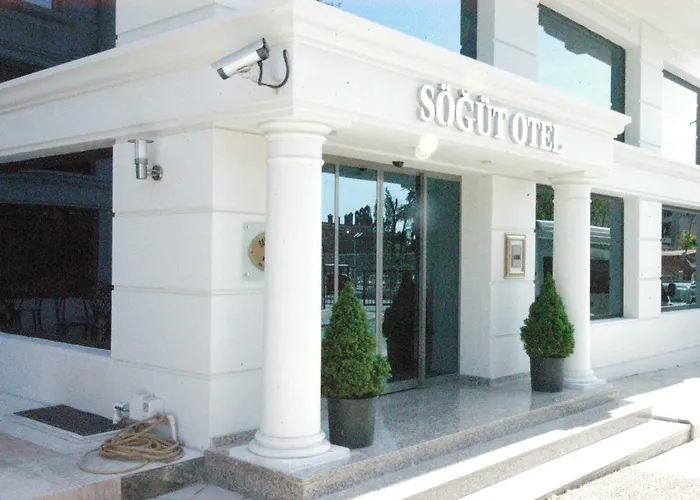 Sogut Old Отель 4*